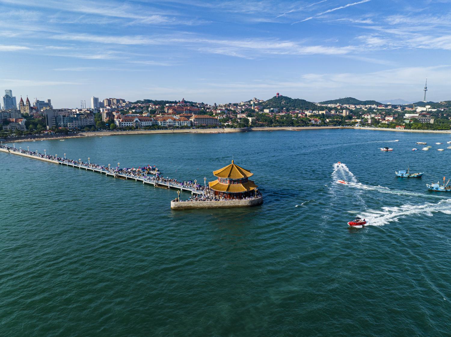 金黄沃土,探寻山东的丰收之美
