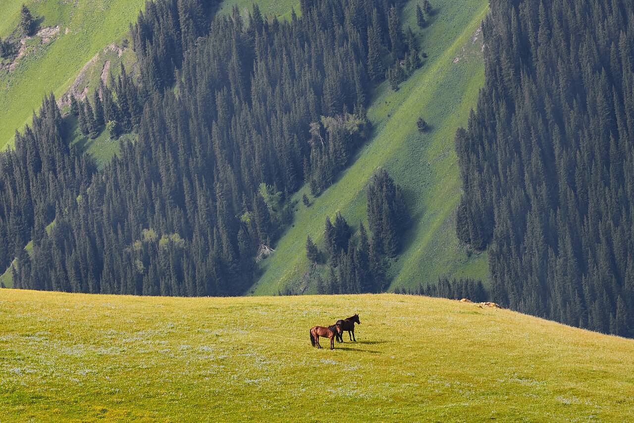新疆小巷深处，探寻欲罢不能的特色小店